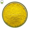 Berberis Vulgaris Extract Berberine Hydrochloride Powder